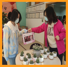 合乐hl8祝大家女神节快乐