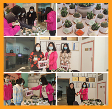 致敬合乐hl8环保的女卫士们